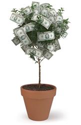 Money tree image